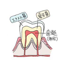 歯の神経を残すメリット