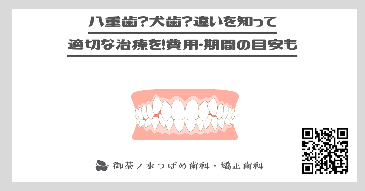 八重歯？犬歯？違いを知って適切な治療を！費用・期間の目安も